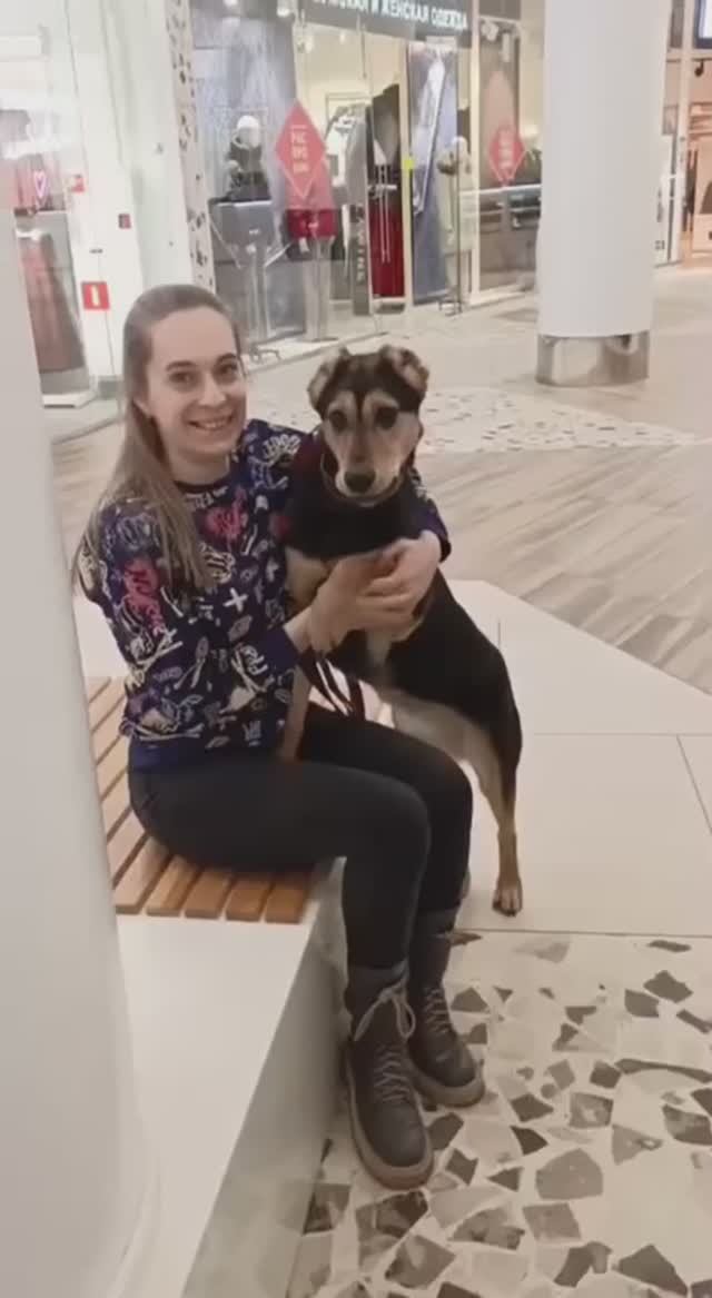 Ласкуша Молли любимица детей ищет семью❤️