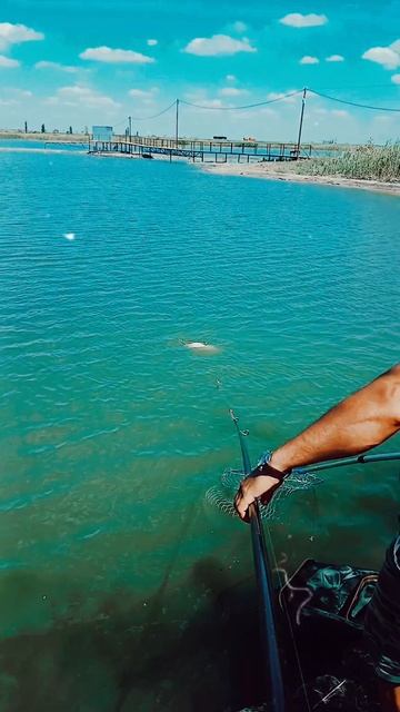 Мысли вслух исцеление слепого