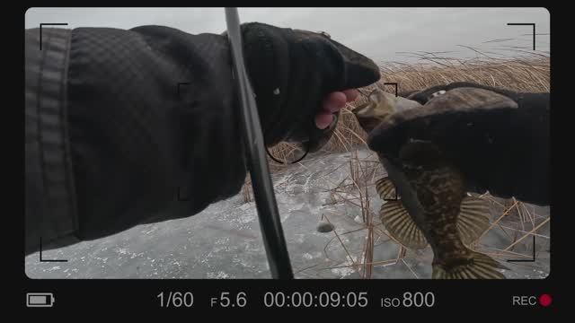 2d59a49e671ed8b5a473076503b4452e