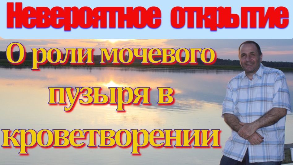 Невероятное открытие. Об исключительной роли мочевого пузыря в кроветворении.