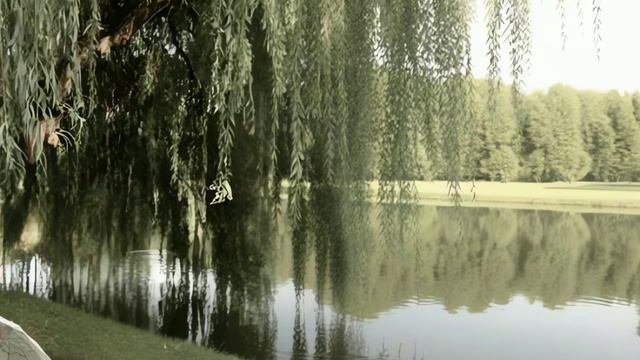 539fb00d-4e6b-4747-b81a-35ec666938b6