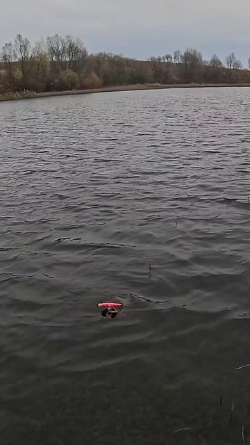 Щука на Bearking Varuna