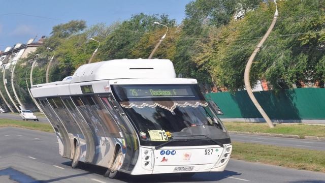 75 бобус хи