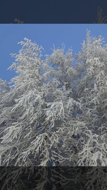 С первым днём зимы!!! ❄️