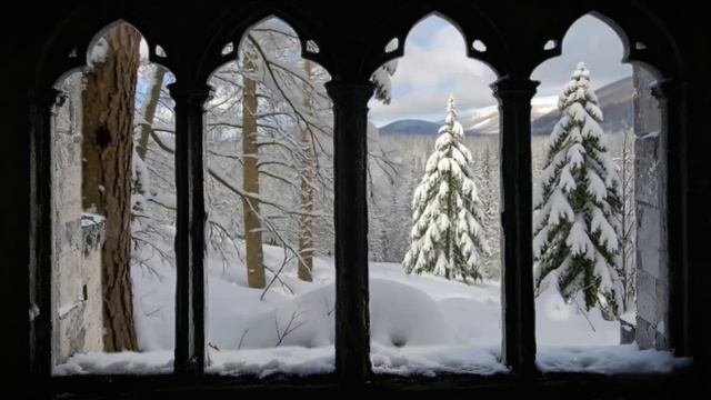 ЗИМА ❄️ЁЛКИ🌲 СНЕГ #фон #футажи #рутуб #видео