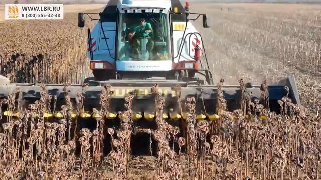 Чем+убирать+подсолнечник_+обзор+жатки+ЖСБ+Sanfloro+Shaft