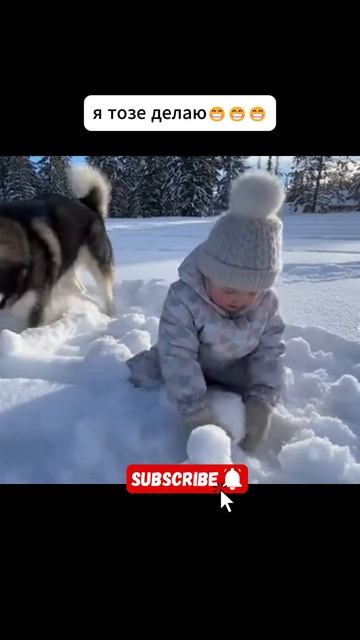 Ну падазьди #собака #снег #веселье #прикол