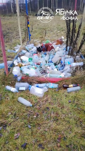 Выборка предмета с собственным запахом