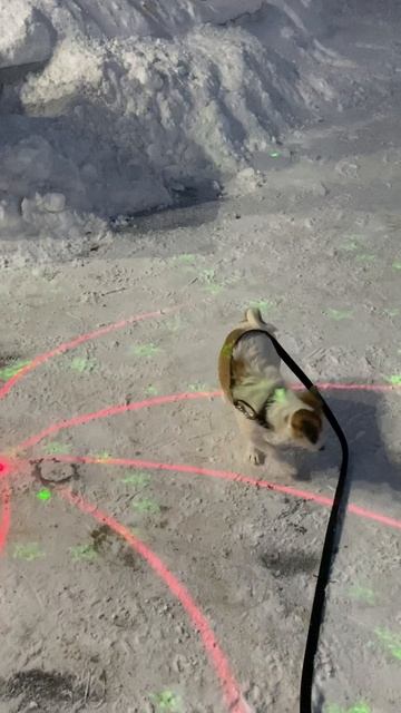 Весело, весело встретим Новый год!😂😂😂