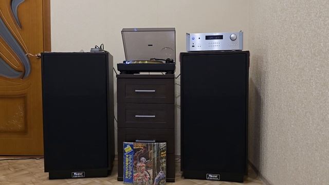 Iron Maiden - Wasted Years (Original Vinyl - Japan Special Edition – S33-1003)