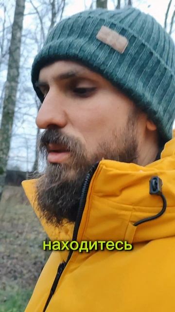 Почему болеют дети?