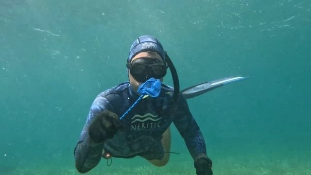 скачал бесплатно House Flipper 2