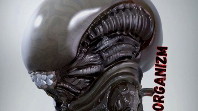 ORGaNizM- Виртуальный мир