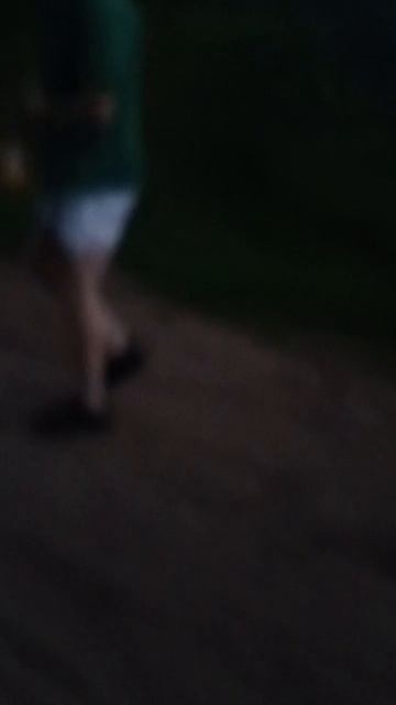 Майский вечер в лесу