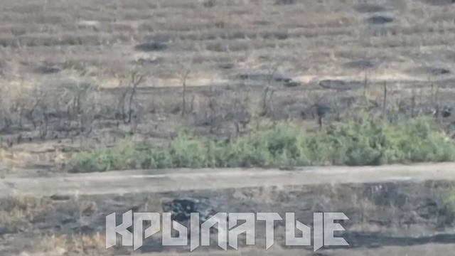 СВО, 10.10.2023, миномёты ВДВ накрывают группу ВСУшников