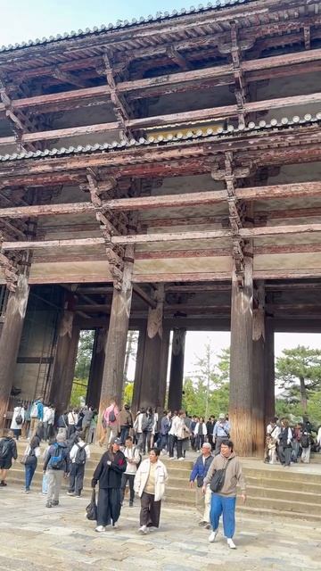 Нара🇯🇵-город священных оленей  #япония  #нара