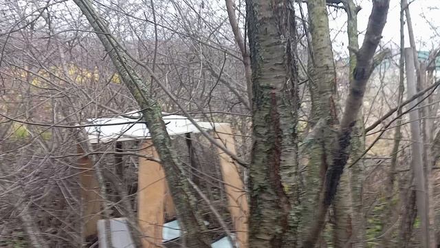 1000035442.mp4