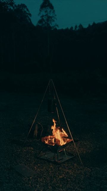 Независимость #тихий смысл #7#психология #одиночество #сыслжизни #цитаты #мотивация