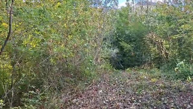 Земельный участок в Туапсинском районе