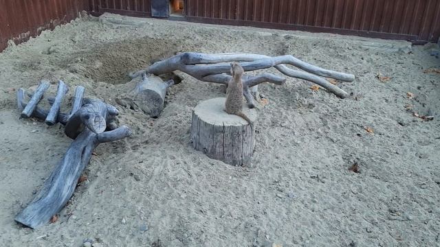 Cfeceb0922875127412c20aacce2b9d3