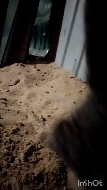 Отзывчивая и ласковая Баська