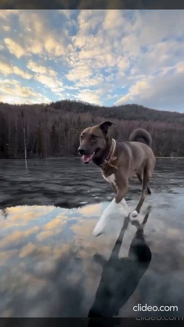Загадачное озеро  Хидден-Лейк