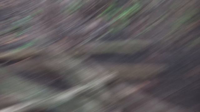 1000035433.mp4