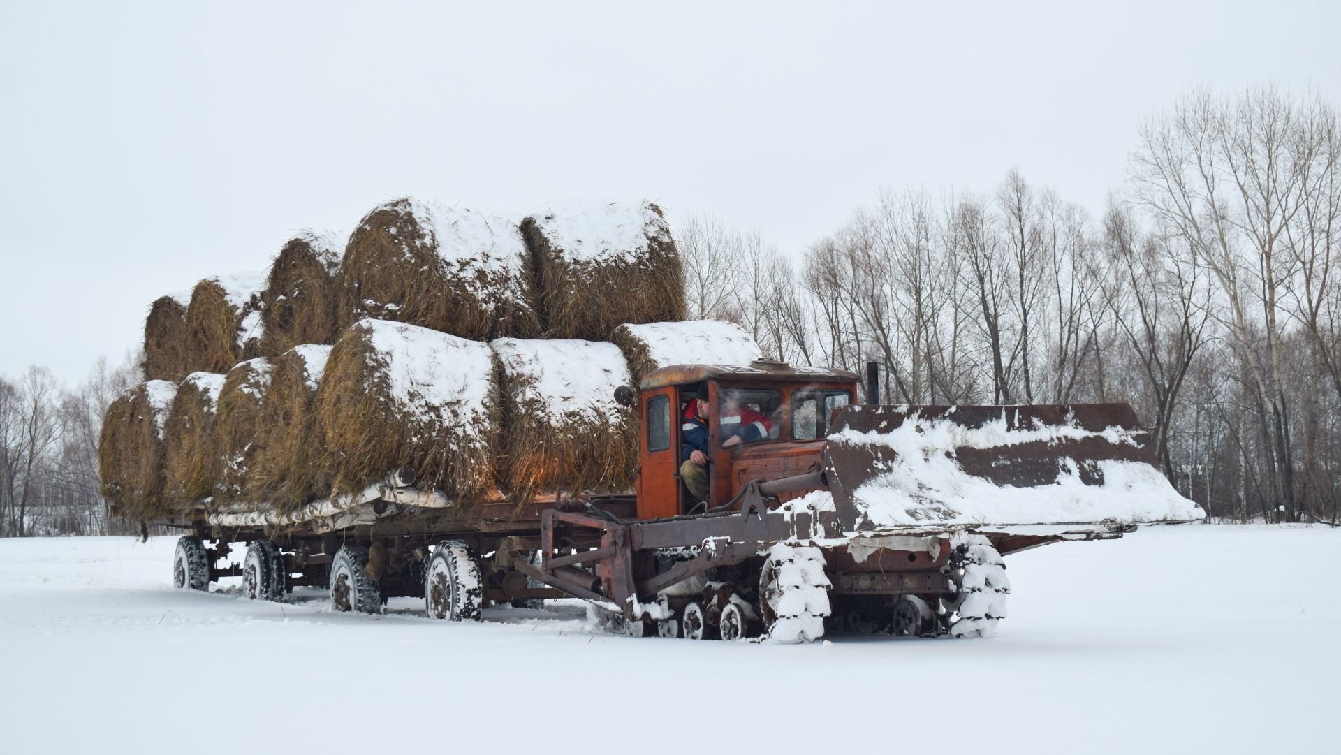 Живая легенда трактор ДТ-54А. Едем за сеном в поле. / The Legendary Old Soviet DT-54A Tractor.