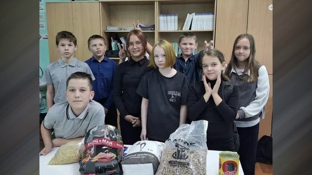 Приют для братьев наших меньших, новая пожарная сигнализация и помощь волонтеров