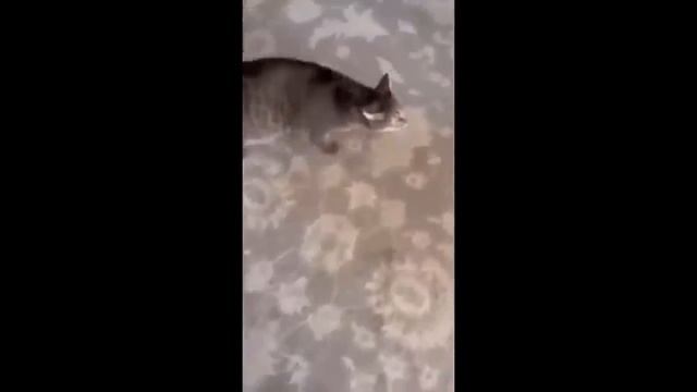 33d21e7416edab1396f6e7d2fe8132d3