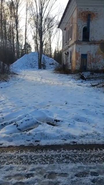 Экскурс по 350  полку