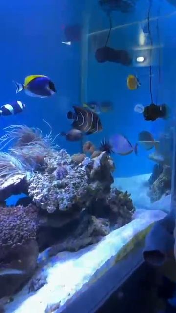 Куда сходить в Анапе?