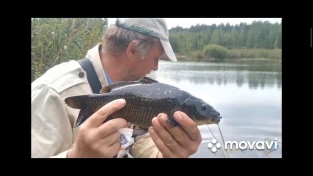 Живые фотографии моей рыбалки.