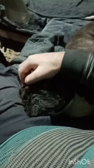 Любовь 😍 😍 Оскара