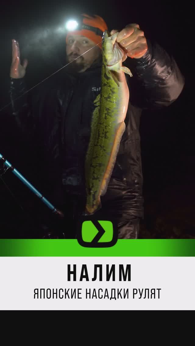 D0d610dd7150d1c00d4b31b80d36cab4