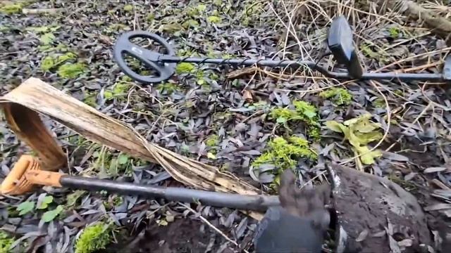 C498aefdbae4acb760a3d99e6324736b