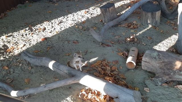 649e59071c2aa669796845df28478772