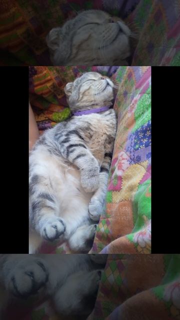 D0ae15ff2054304f284c08964c458510