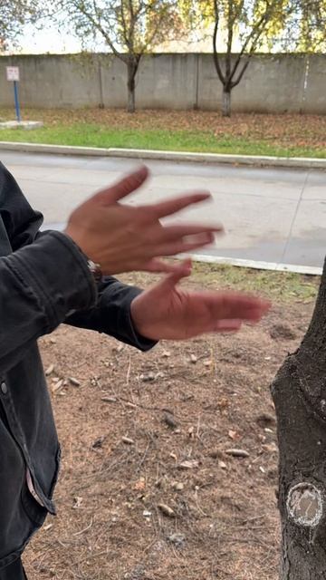 Изолента CARGEN