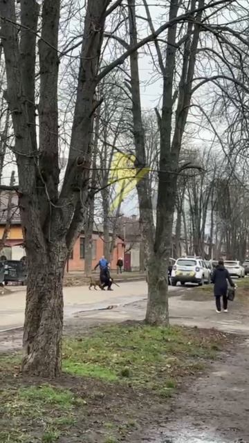 Полицаи Зеленского хотели запаковать ухилянта на мясокомбинат Зеленского, но что-то пошло не так