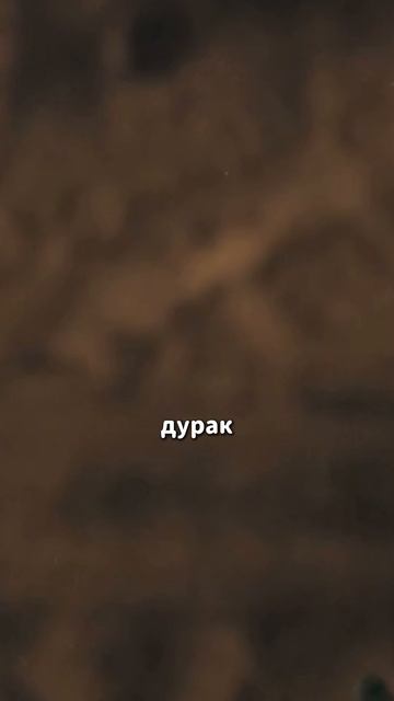 Обзор на фильм 