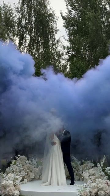 Дымы синие свадебная регистрация