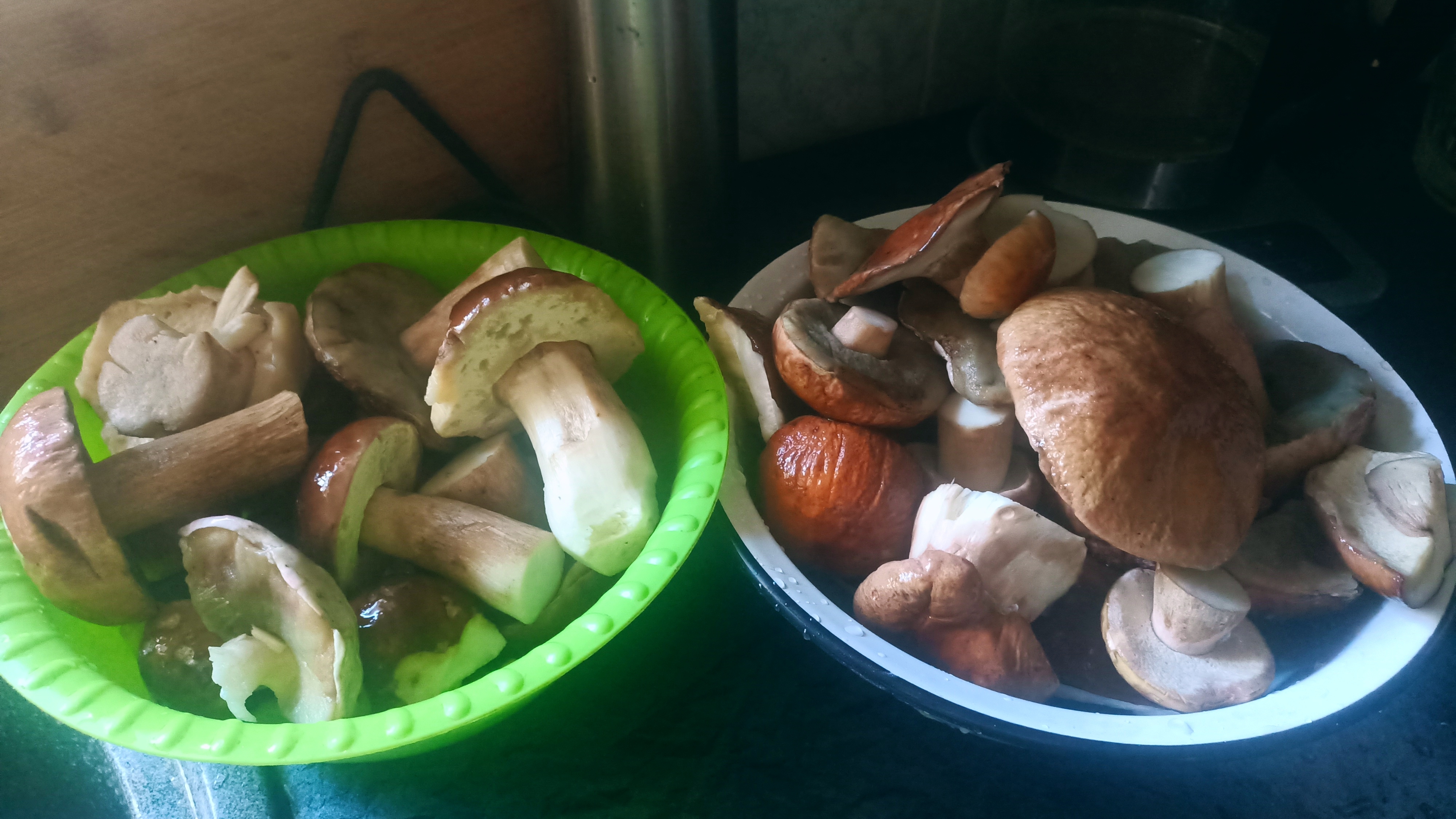 31 августа 2025г. Прогулка по лесу. Тихая охота .Грибалка удалась .