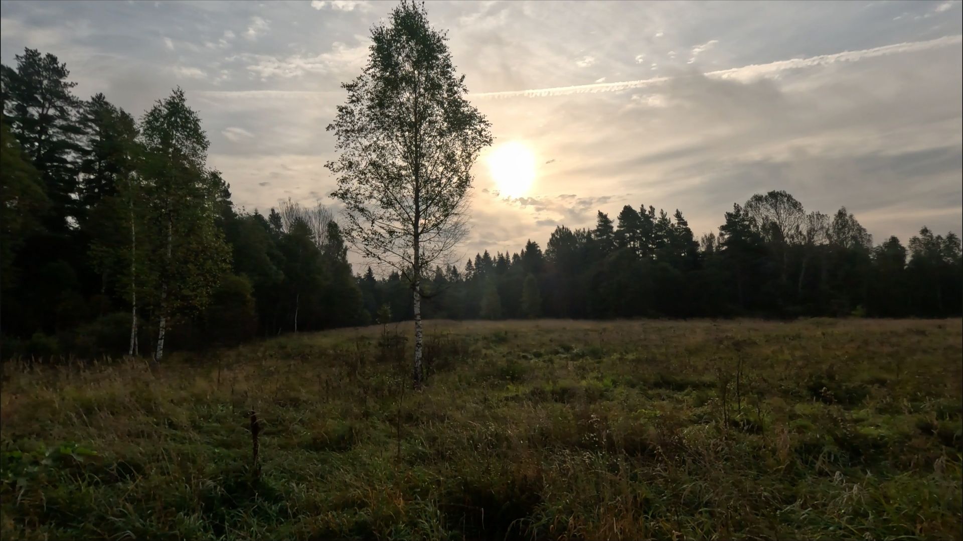 Добил я этот коридор.Фильм 12.