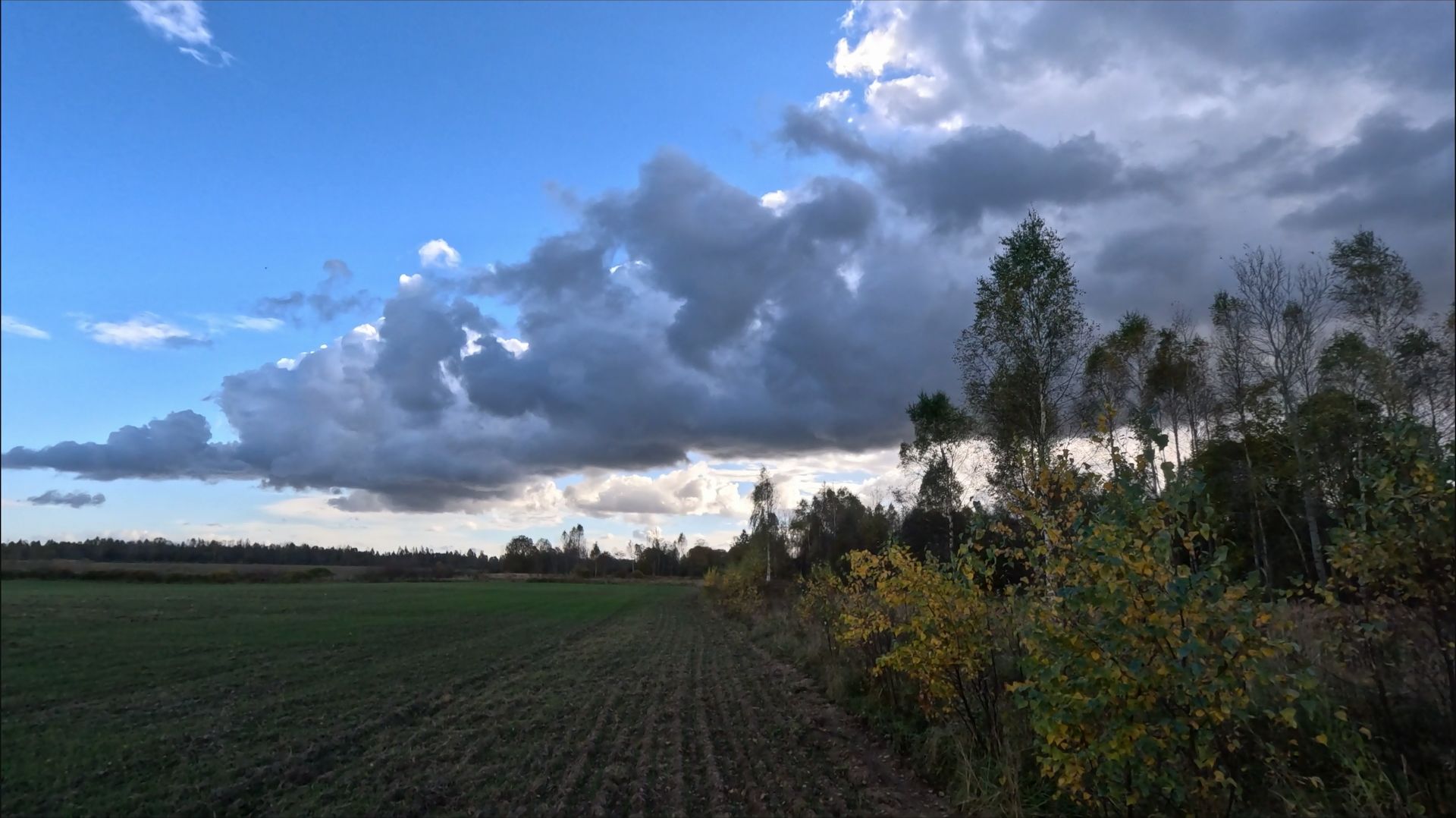 Не зря сюда вернулся! Фильм 13.