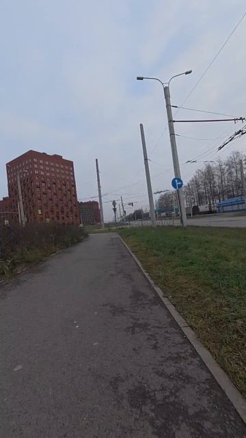 Декабрьская прогулка на самоходном кресле