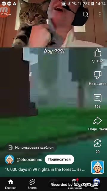 99 NIGHT OIA OIA CAT💎