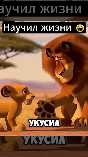 Зайца лучше не догонять иначе сам убежишь   .mp4