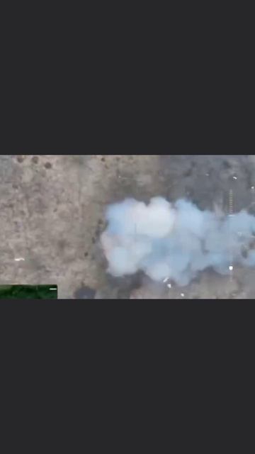 Контрнахрюк свиней в районе Купянска.