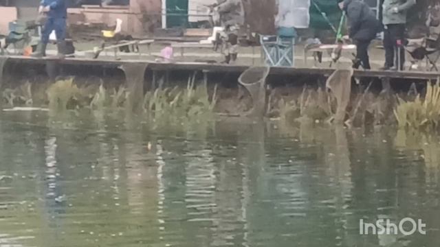 Субботним утром в Липках